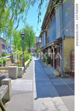 Izu Peninsula/Minamiizu/Shimoda Perry Road/Scenery with retro townscape and weeping willows/Shimoda City, Shizuoka Prefecture (14) 105766009