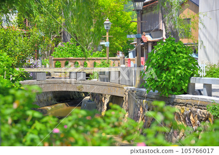 Izu Peninsula, Minamiizu, Shimoda Perry Road, Retro townscape and impressive scenery of weeping willows, Shimoda City, Shizuoka Prefecture (18) 105766017