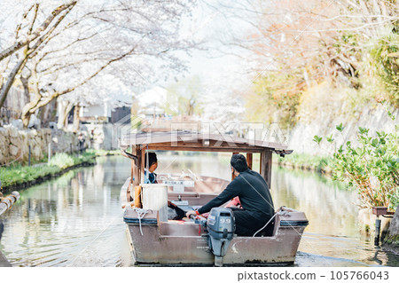 Omihachiman City, Shiga Prefecture Cherry blossoms at Hachimanbori and Japanese boats around Hachimanbori 105766043