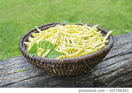 String beans 105766361