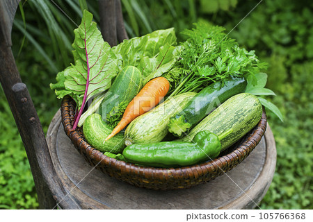 Vegetable harvest 105766368