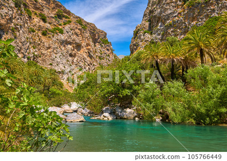 Sunny day at river stream and palm tree forest, Preveli, Crete, Greece 105766449