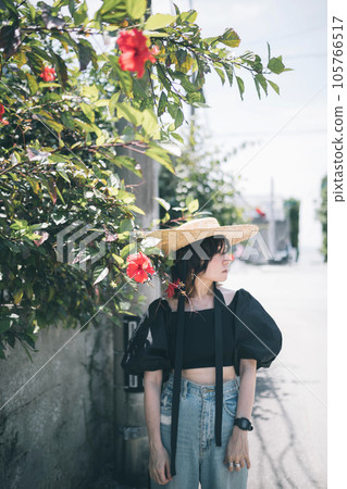 Fukugi trees in Bise, a sightseeing spot in Okinawa 105766517