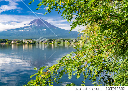 "Yamanashi Prefecture" View of Mt. Fuji and Lake Kawaguchiko in summer 105766862