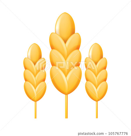 3D wheat icon, vector oat grain symbol, farm harvest protein dietary badge isolated on white.  105767776