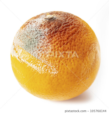Close up of rotten orange isolated 105768144