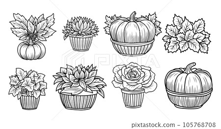 Set of autumn coloring pages with pumpkins and sunflowers.Autumn mood black and white linear illustration 105768708