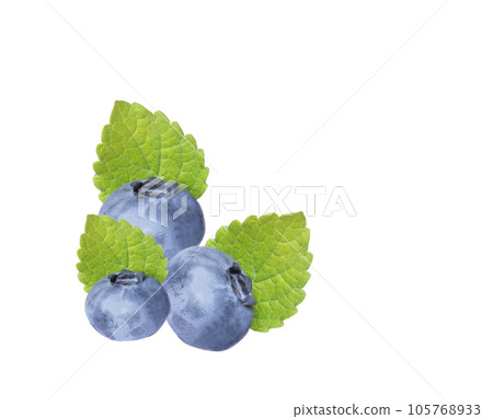 Ripe blueberries with green leaves Lemon balm, common balm or balm mint (Melissa officinalis) isolated on white background. Healthy sweet berry. Concept for healthy eating and lifestyle. Growing 105768933