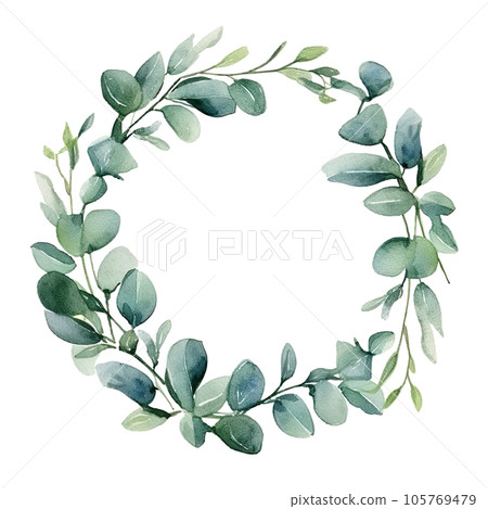 Watercolor eucalyptus leaves frame isolated 105769479