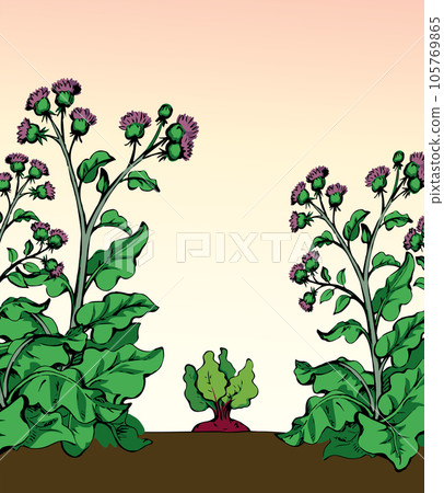 Weeds in the garden. Vector drawing 105769865