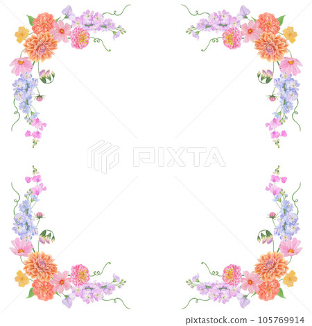Watercolor botanical colourful frame of summer and autumn flowers: dahlia, zinnia, lathyrus, gillyflower, nasturtium. Good for wedding print products, paper, invitations, greetings, fabric, posters 105769914