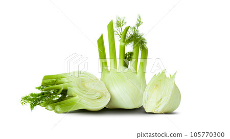 Fresh fennel bulb isolated on white background 105770300