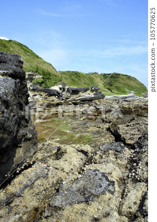 Rocky shore Seaside environment with tide Rocky shore Seaside environment with tide 105770625