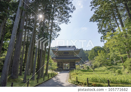 新潟臨仙寺 新潟臨仙寺 105771682