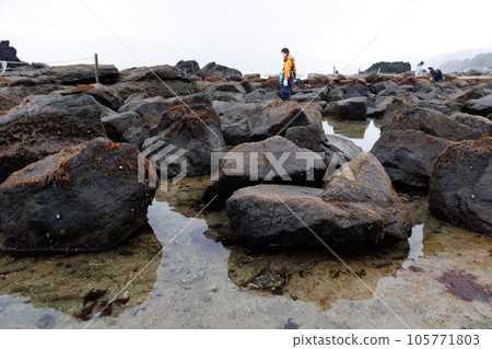船織體驗之旅_岩石上的船織（青森縣風間浦村） 105771803