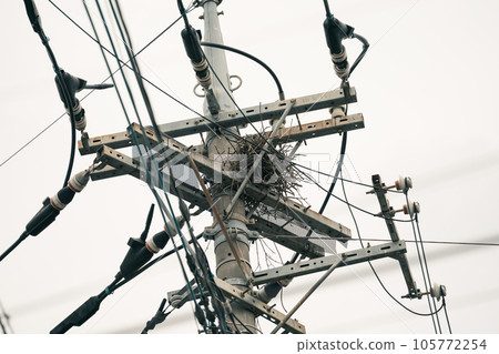 Crows nesting on utility poles 105772254