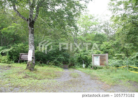 Gunma Prefecture Okutone Water Source Forest Camp Parking Lot Gunma Prefecture Okutone Water Source Forest Camp Parking Lot 105773182