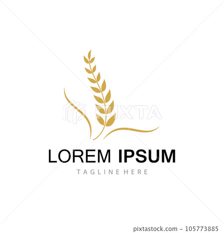 Agriculture wheat vector Agriculture wheat vector 105773885