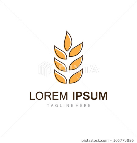 Agriculture wheat vector Agriculture wheat vector 105773886
