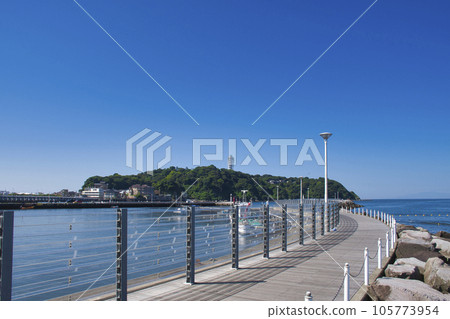 [Fujisawa City] Enoshima in the summer 105773954