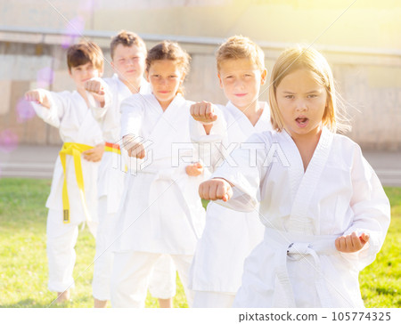 Group of focused schoolchildren practicing karate at park Group of focused schoolchildren practicing karate at park 105774325