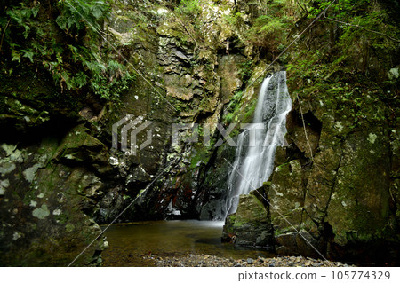 Shoshita Falls [Kushimoto Town, Higashimuro District, Wakayama Prefecture] 105774329