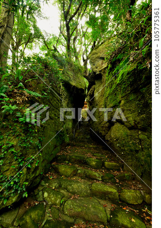 Akiba Shrine (main shrine on the other side of Oshiwake Rock) [Houyoucho, Tanabe City, Wakayama Prefecture] 105775361