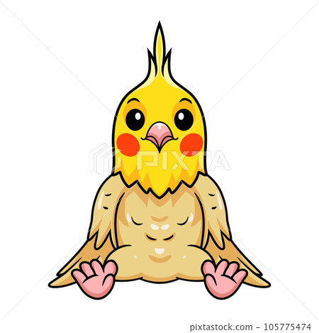 Cute lutino cockatiel bird cartoon Cute lutino cockatiel bird cartoon 105775474