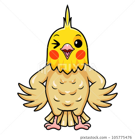Cute lutino cockatiel bird cartoon Cute lutino cockatiel bird cartoon 105775476