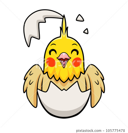 Cute lutino cockatiel bird cartoon inside from egg Cute lutino cockatiel bird cartoon inside from egg 105775478
