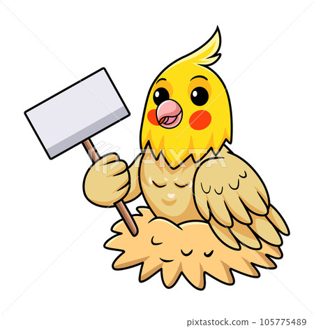 Cute lutino cockatiel bird cartoon holding blank sign Cute lutino cockatiel bird cartoon holding blank sign 105775489