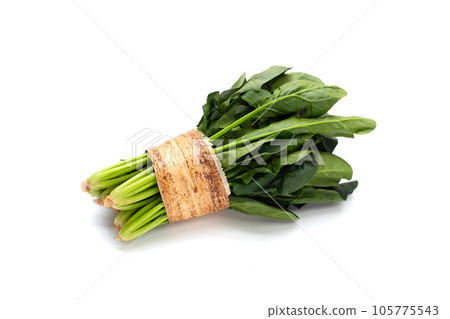 Fresh spinach on white background 105775543