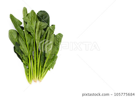Fresh spinach on white background Fresh spinach on white background 105775684