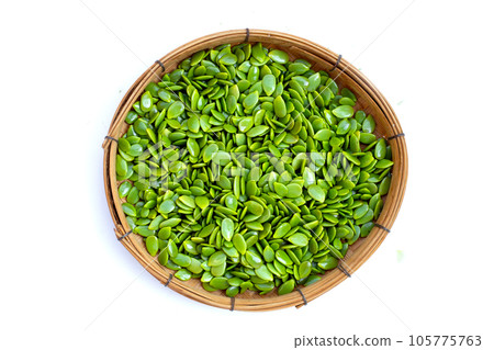 Leucaena leucocephala seeds isolated on white background 105775763