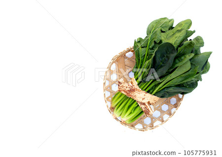 Fresh spinach on white background 105775931