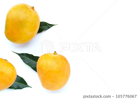Tropical fruit, Mango  on white background. Top view 105776067