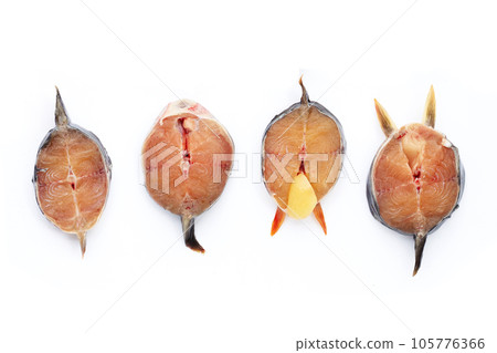 Catfish cut pieces on white background. Catfish cut pieces on white background. 105776366