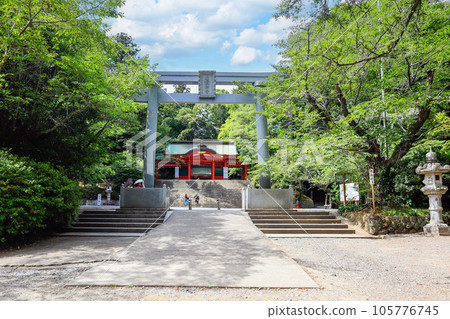 Three torii gates and main gate in fresh green Three torii gates and main gate in fresh green 105776745
