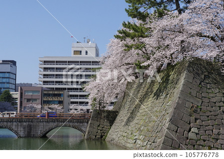 春天的福井城跡和五本橋 105776778