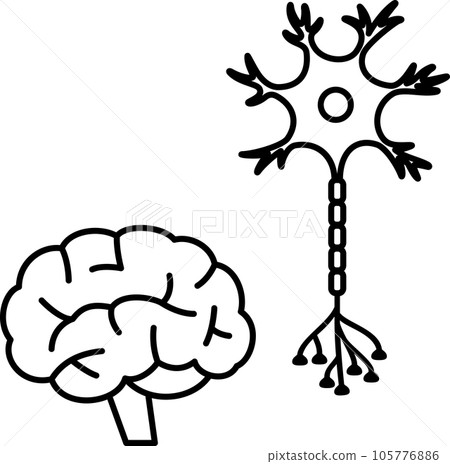 Deformed illustration of the brain and neurons 105776886