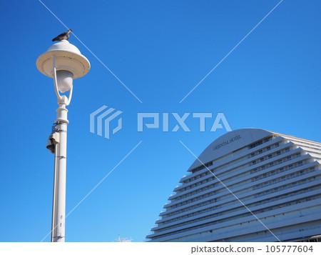 Kobe Meriken Park Oriental Hotel and pigeons 105777604