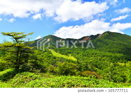 東鹿野山～赤祇～眺望水能山（長野縣小諸市）[2023年8月] 105777711
