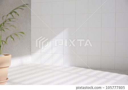 Various props in the bathroom background Various props in the bathroom background 105777805