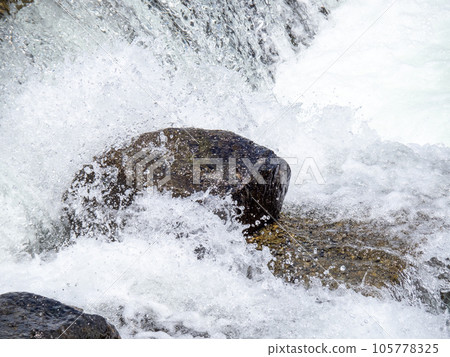 夏季（八月）千種河和水花。位於兵庫縣佐用郡佐用町。 105778325
