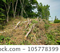 landscape photography cut trees 105778399