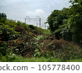 landscape photography trees 105778400