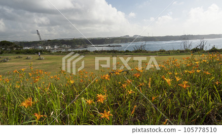 Summer in Jogashima Island, Miura Peninsula, Miura City, Kanagawa Prefecture 105778510