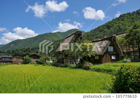 Beautiful scenery of World Heritage Shirakawa-go Gassho-zukuri style 105778610