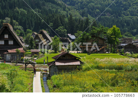 Beautiful scenery of World Heritage Shirakawa-go Gassho-zukuri style Beautiful scenery of World Heritage Shirakawa-go Gassho-zukuri style 105778663