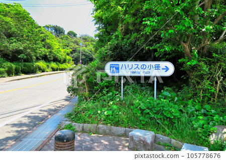 Shimoda City, Shizuoka Prefecture, Shimoda City, Shizuoka Prefecture (4) Shimoda City, Shizuoka Prefecture, Shimoda City, Shizuoka Prefecture (4) 105778676
